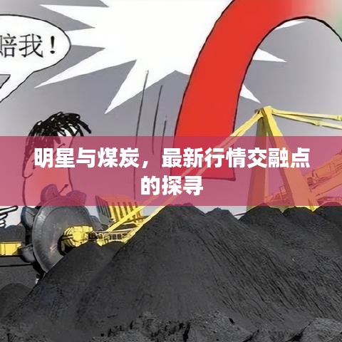 明星与煤炭,最新行情交融点的探寻