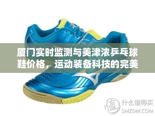 厦门实时监测与美津浓乒乓球鞋价格,运动装备科技的完美融合