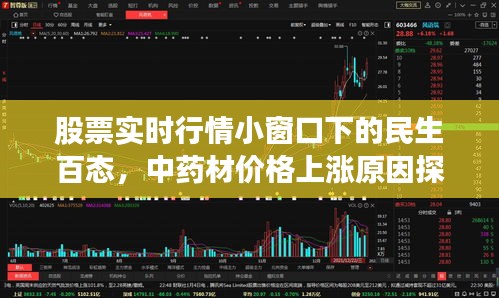 股票实时行情小窗口下的民生百态,中药材价格上涨原因探究及应对策略