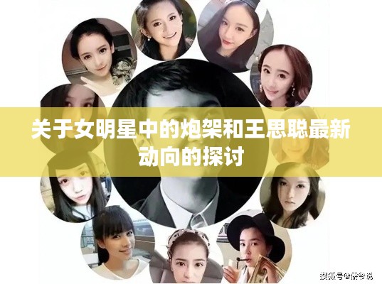 关于女明星中的炮架和王思聪最新动向的探讨