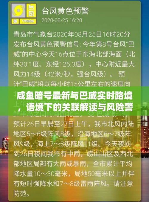 咸鱼暗号最新与巴威实时路境,语境下的关联解读与风险警示