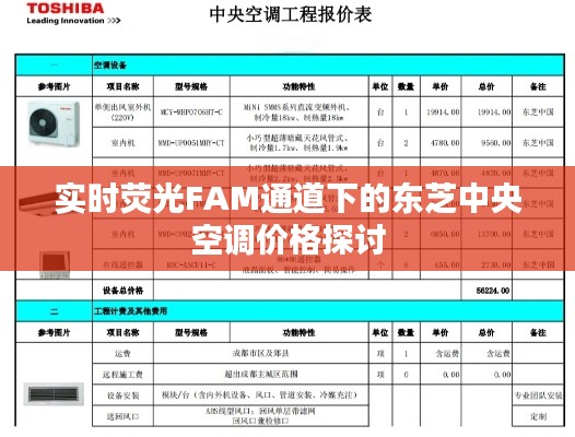 实时荧光FAM通道下的东芝中央空调价格探讨