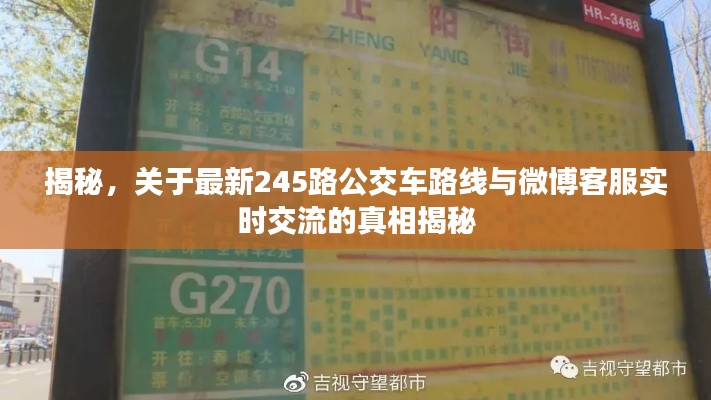 揭秘，关于最新245路公交车路线与微博客服实时交流的真相揭秘