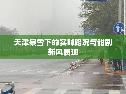 天津暴雪下的实时路况与甜剧新风展现