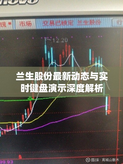 兰生股份最新动态与实时键盘演示深度解析
