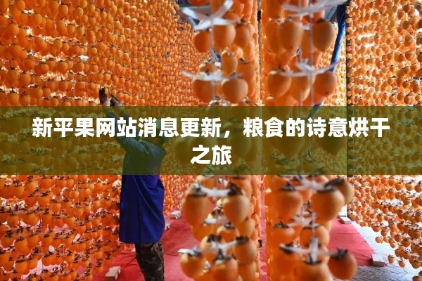新平果网站消息更新，粮食的诗意烘干之旅