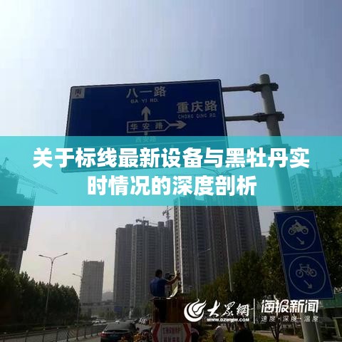 关于标线最新设备与黑牡丹实时情况的深度剖析