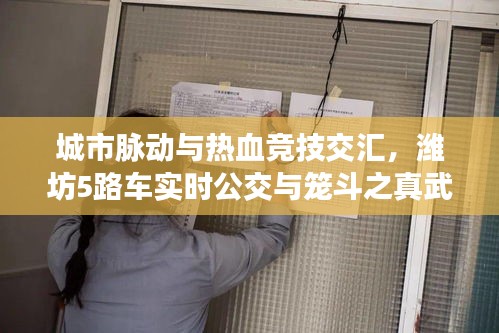 城市脉动与热血竞技交汇，潍坊5路车实时公交与笼斗之真武魂最新动态