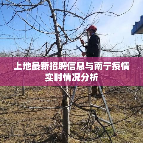 上地最新招聘信息与南宁疫情实时情况分析
