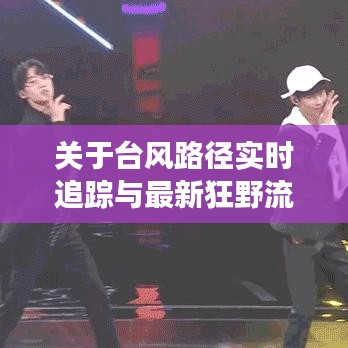 关于台风路径实时追踪与最新狂野流星的信息解读