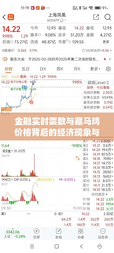 金融实时票数与藏马鸡价格背后的经济现象与趋势探索