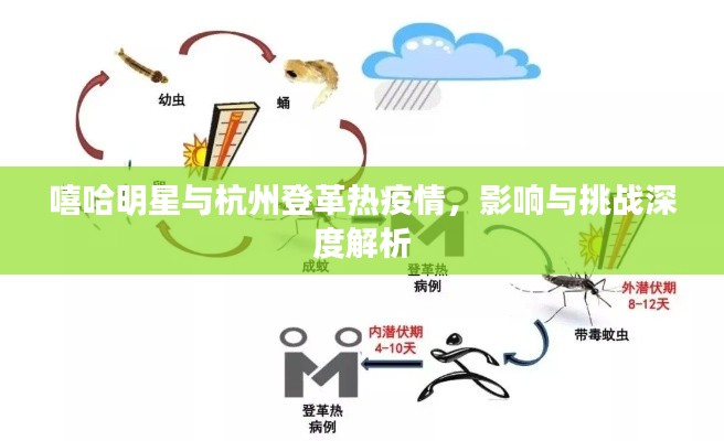 嘻哈明星与杭州登革热疫情，影响与挑战深度解析