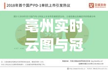 亳州实时云图与冠状最新药物,深度剖析与专家解读