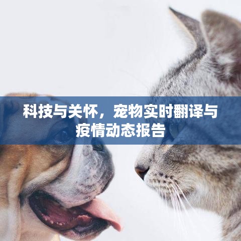 科技与关怀,宠物实时翻译与疫情动态报告