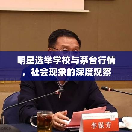 明星选举学校与茅台行情，社会现象的深度观察