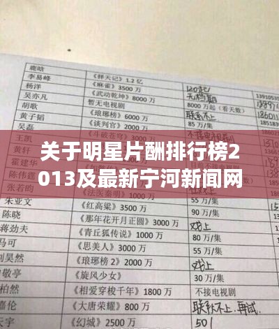 关于明星片酬排行榜2013及最新宁河新闻网的深度解析与探讨