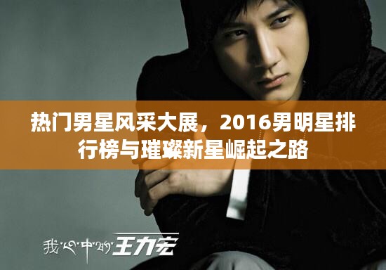 热门男星风采大展,2016男明星排行榜与璀璨新星崛起之路