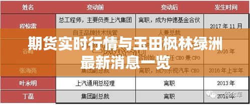 期货实时行情与玉田枫林绿洲最新消息一览