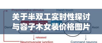 关于半双工实时性探讨与容子木女装价格图片分析