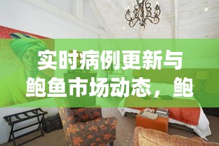 实时病例更新与鲍鱼市场动态,鲍鱼市场最新行情分析(2017年)