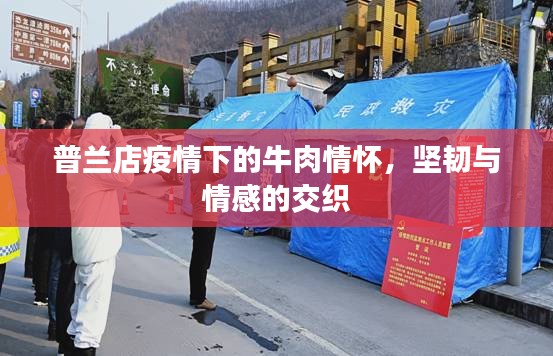 普兰店疫情下的牛肉情怀，坚韧与情感的交织
