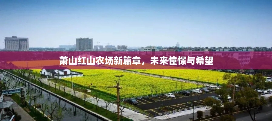 萧山红山农场新篇章,未来憧憬与希望