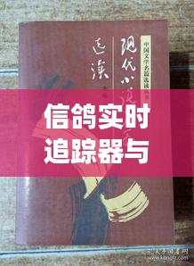 信鸽实时追踪器与窦娥冤——现代技术与古老故事的交融