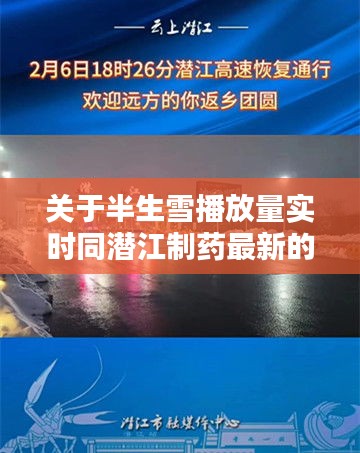 关于半生雪播放量实时同潜江制药最新的组合概念深入阐述