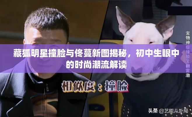 藏狐明星撞脸与佟蔓新图揭秘，初中生眼中的时尚潮流解读