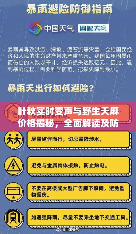 叶秋实时变声与野生天麻价格揭秘,全面解读及防范虚假宣传