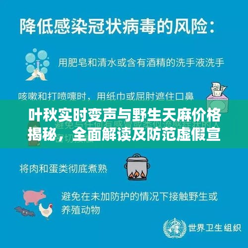 叶秋实时变声与野生天麻价格揭秘,全面解读及防范虚假宣传