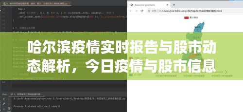 哈尔滨疫情实时报告与股市动态解析，今日疫情与股市信息一览