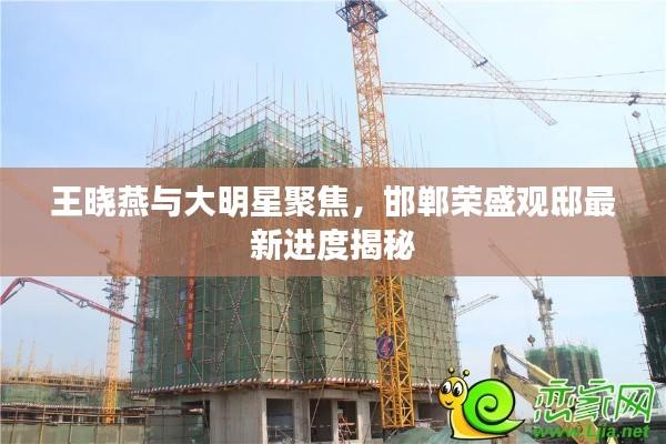 王晓燕与大明星聚焦,邯郸荣盛观邸最新进度揭秘