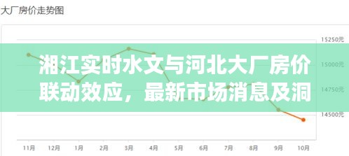 湘江实时水文与河北大厂房价联动效应,最新市场消息及洞察分析