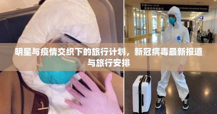 明星与疫情交织下的旅行计划，新冠病毒最新报道与旅行安排
