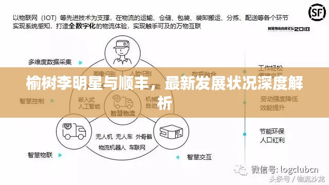 榆树李明星与顺丰，最新发展状况深度解析