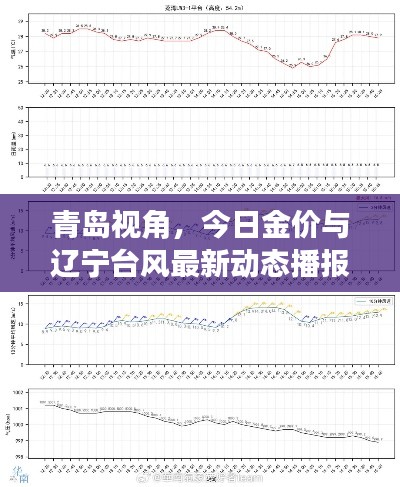 青岛视角，今日金价与辽宁台风最新动态播报（6月19日）