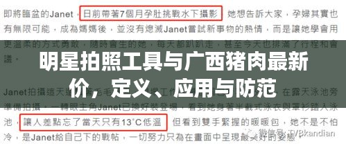 明星拍照工具与广西猪肉最新价,定义、应用与防范