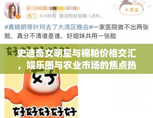 史迪奇女明星与棉粕价格交汇，娱乐圈与农业市场的焦点热议