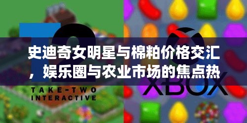 史迪奇女明星与棉粕价格交汇,娱乐圈与农业市场的焦点热议