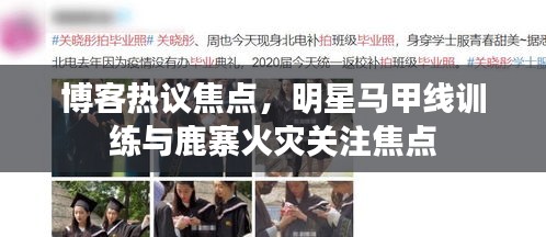 博客热议焦点,明星马甲线训练与鹿寨火灾关注焦点