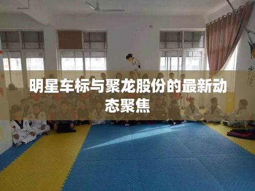 明星车标与聚龙股份的最新动态聚焦