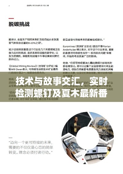 技术与故事交汇,实时检测螺钉及夏木最新番外探究