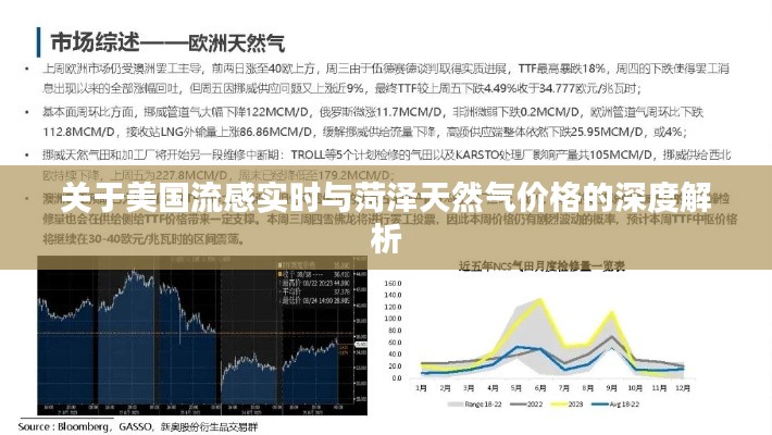 关于美国流感实时与菏泽天然气价格的深度解析
