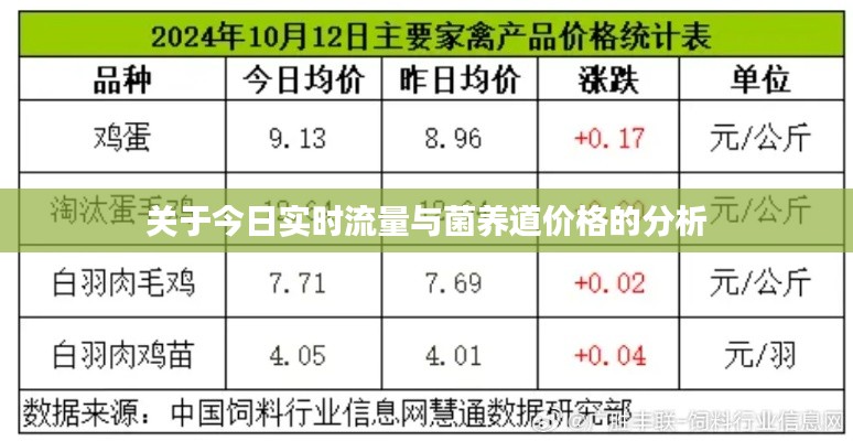 关于今日实时流量与菌养道价格的分析