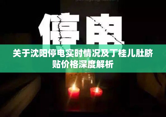 关于沈阳停电实时情况及丁桂儿肚脐贴价格深度解析