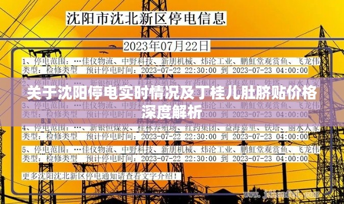 关于沈阳停电实时情况及丁桂儿肚脐贴价格深度解析