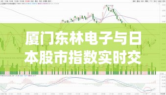 厦门东林电子与日本股市指数实时交融，技术与市场的实时走势盛会