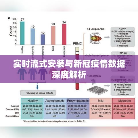 实时流式安装与新冠疫情数据深度解析