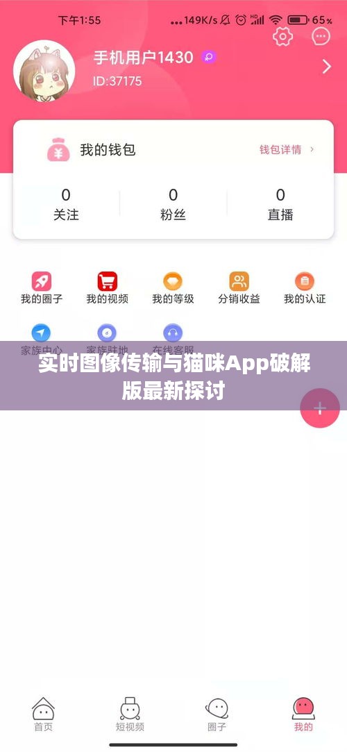 实时图像传输与猫咪App破解版最新探讨